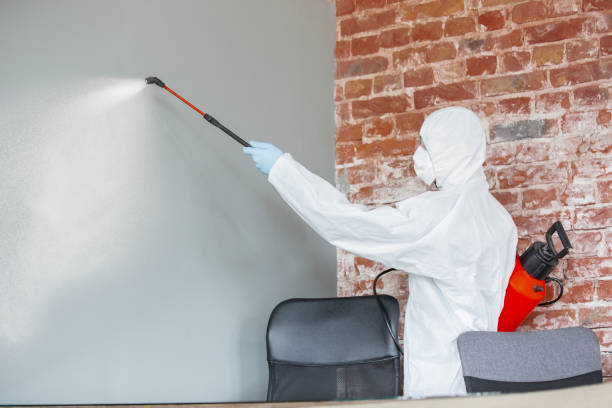 Best Post-Remediation Verification Testing  in Greentown, OH