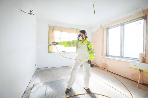 Best Black Mold Removal  in Greentown, OH