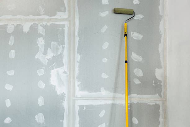 Best Mold Removal for HVAC Installations  in Greentown, OH