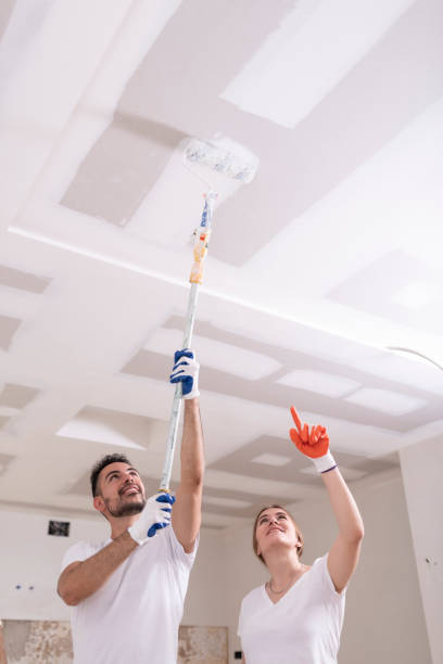 Best Basement Mold Removal  in Greentown, OH