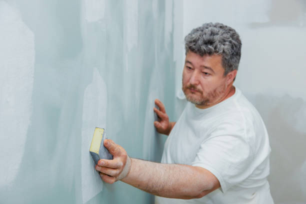 Best Attic Mold Removal  in Greentown, OH