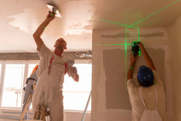 Best Black Mold Removal  in Greentown, OH