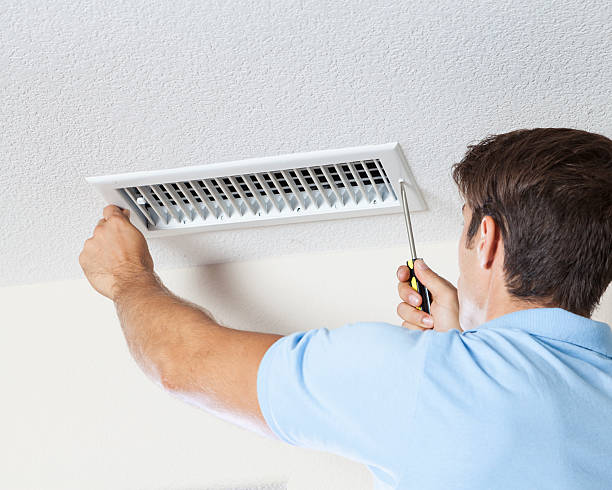 Trusted Greentown, OH Mold Removal Experts