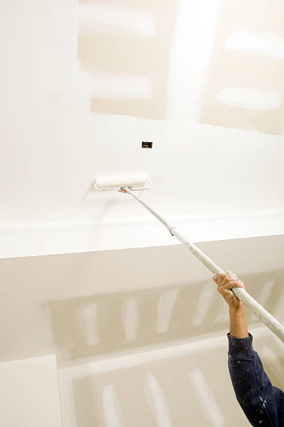 Best Dehumidification Services  in Greentown, OH