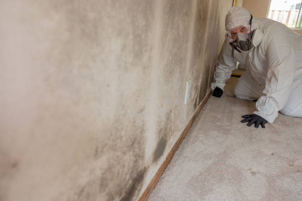 Best Air Quality Testing for Mold Spores  in Greentown, OH