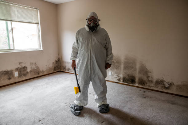 Best Commercial Mold Inspection  in Greentown, OH